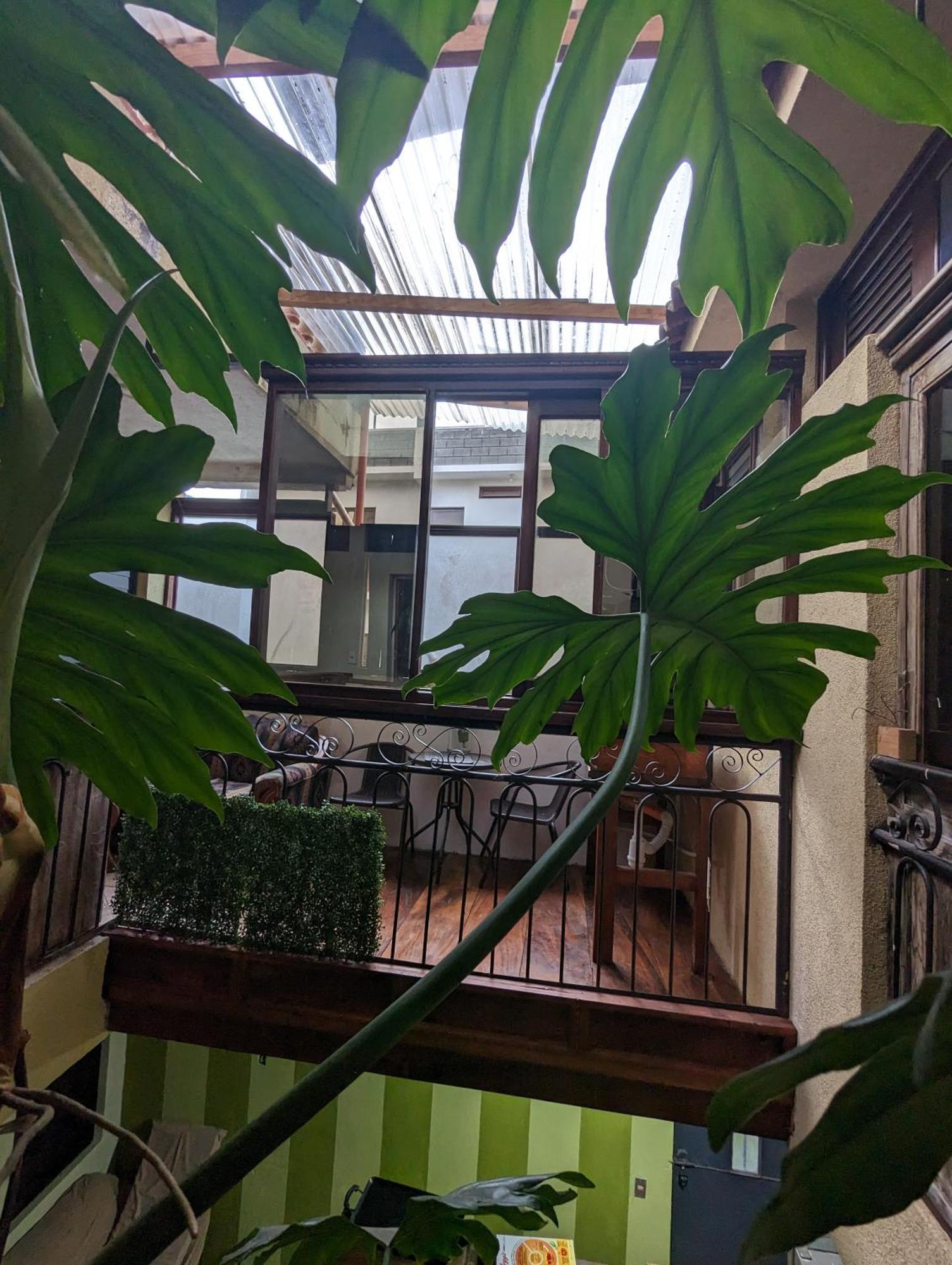 Casa Gonzalez Daire Santiago Atitlán Dış mekan fotoğraf